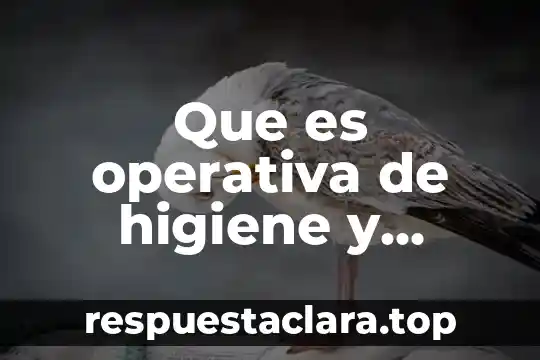 Que es operativa de higiene y seguridad industrial