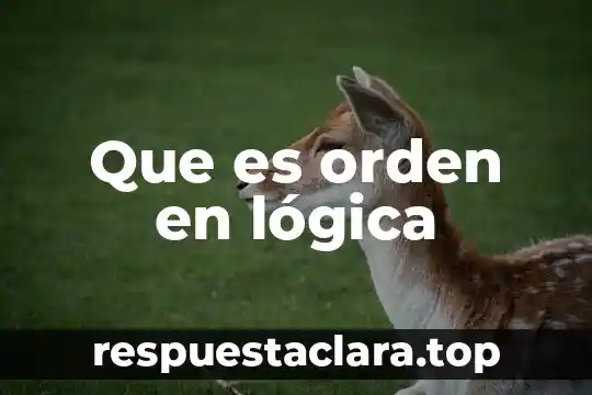 Que es orden en lógica