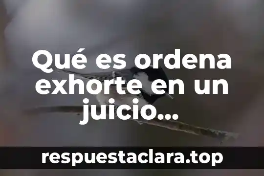 Qué es ordena exhorte en un juicio mercantil en México