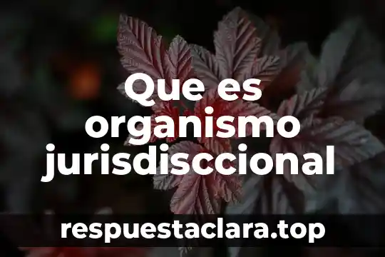 Que es organismo jurisdisccional