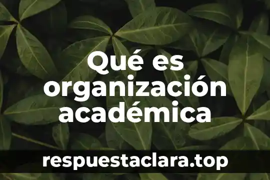 Qué es organización académica