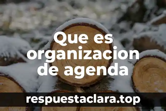 Que es organizacion de agenda