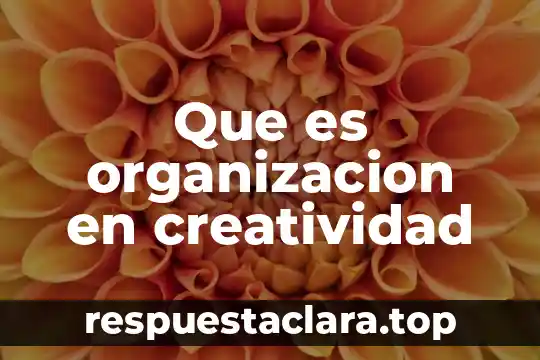 Que es organizacion en creatividad