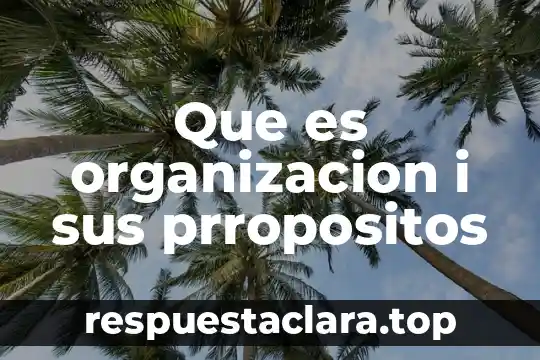 Que es organizacion i sus prropositos