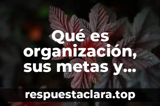Qué es organización, sus metas y objetivos