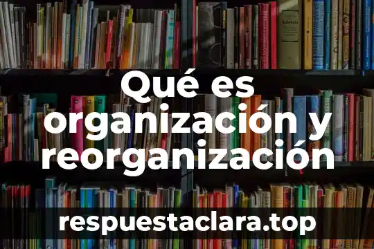 Qué es organización y reorganización