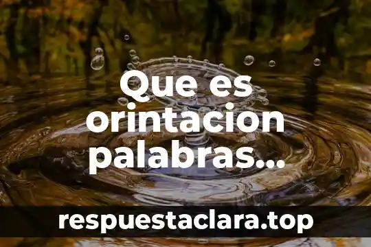 Que es orintacion palabras propias