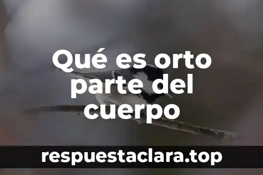 Qué es orto parte del cuerpo