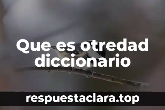 Que es otredad diccionario