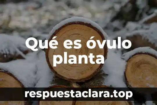 Qué es óvulo planta