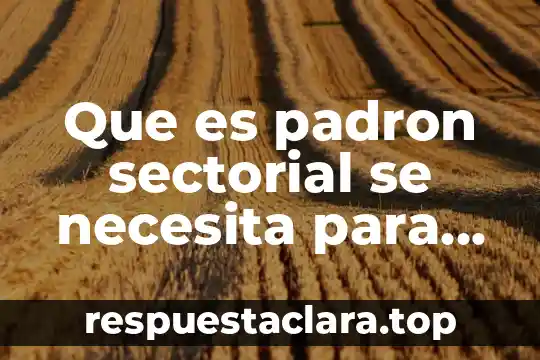 Que es el padron de importadores y exportadores sectorial 4 Que es padron sectorial se necesita para cambiar mi nombre