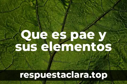 Que es la membresia pae grupo cristal 7 Que es pae y sus elementos