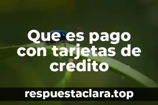 Que es pago con tarjetas de credito
