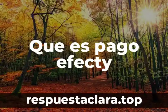 Que es pago efecty