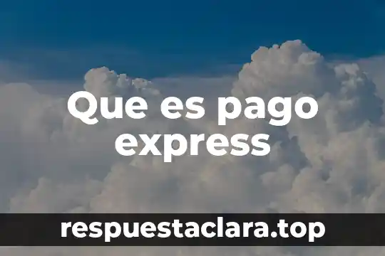 Que es pago express