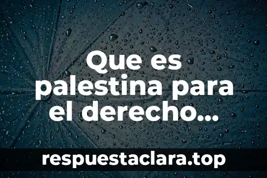 Que es palestina para el derecho internacional