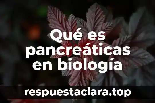 Qué es pancreáticas en biología
