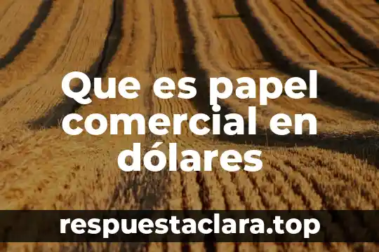 Que es fiasco significado 6 Que es papel comercial en dólares