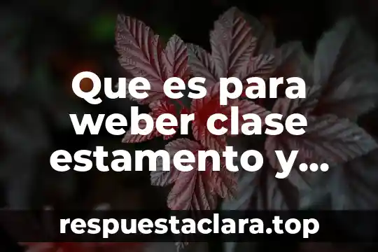 Que es un número de clase 7 Que es para weber clase estamento y partido