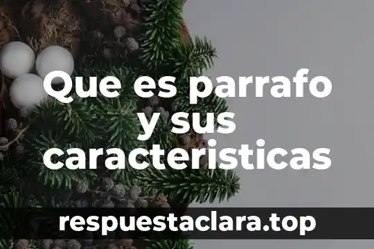 Que es parrafo y sus caracteristicas