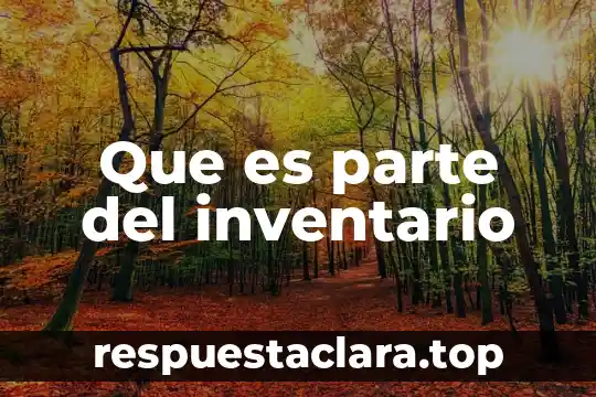 Que es parte del inventario