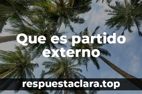 Que es partido externo
