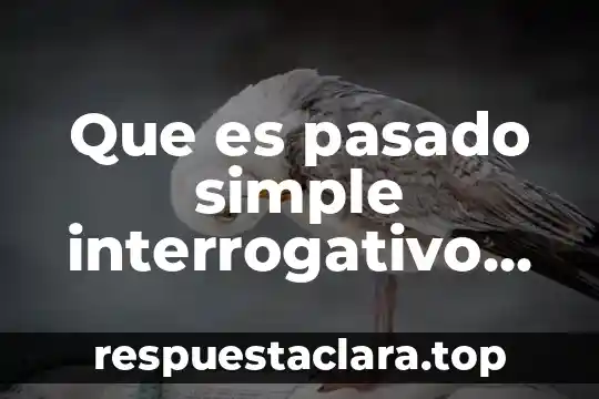Que es pasado simple interrogativo en ingles