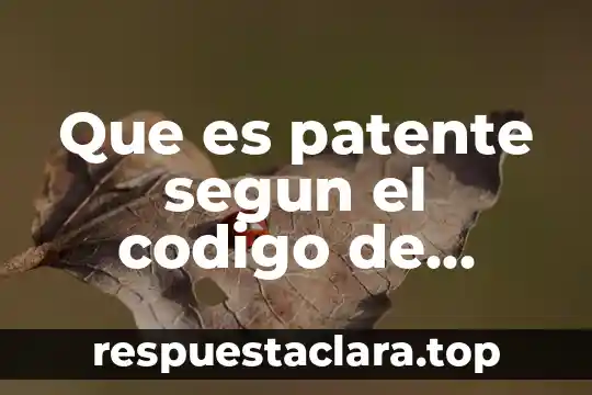 Que es un concubinato codigo civil 6 Que es patente segun el codigo de comercio