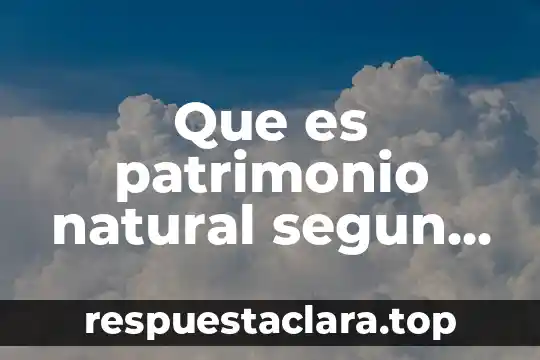 Que es patrimonio natural segun autores