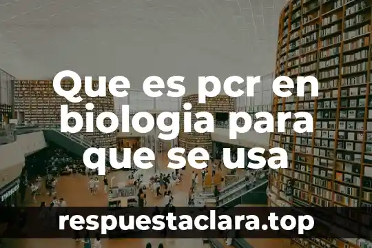 Que es el programa excel y para que se usa 4 Que es pcr en biologia para que se usa