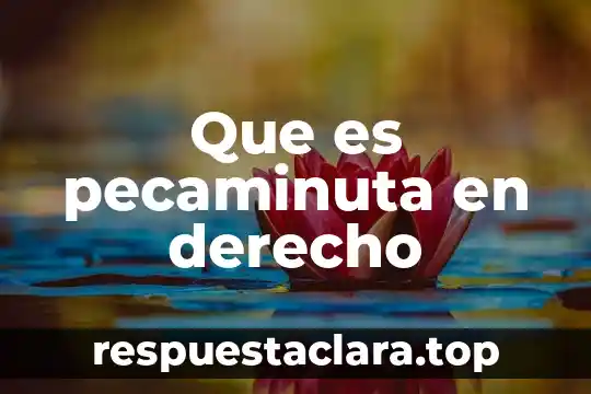 Que es pecaminuta en derecho