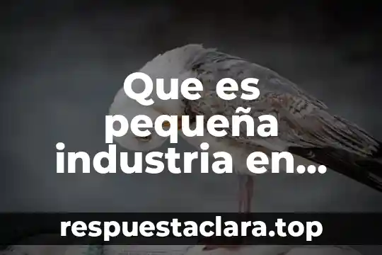Que es pequeña industria en economia