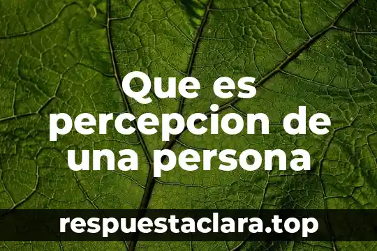 Que es percepcion de una persona