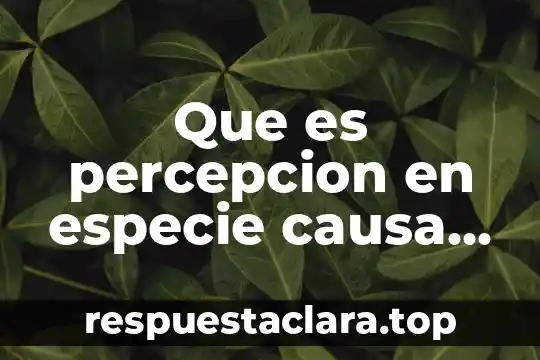 Que es percepcion en especie causa impuesto mexico