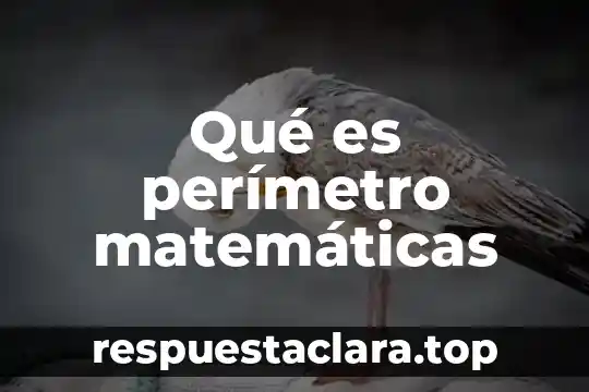 Qué es el razonamiento SAT matemáticas 8 Qué es perímetro matemáticas