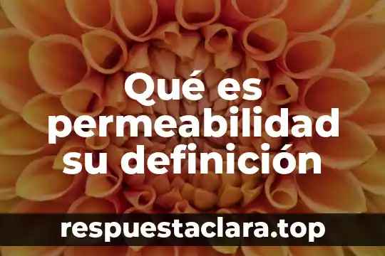 Qué es permeabilidad su definición