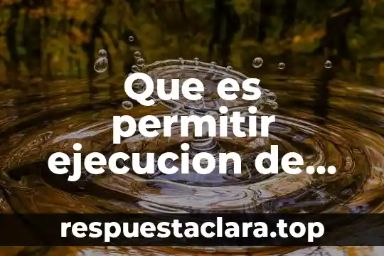Que es permitir ejecucion de programas en informatica