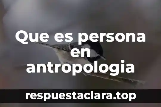 Que es persona en antropologia
