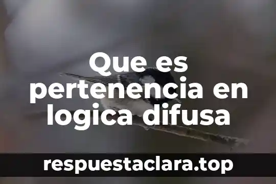 Que es pertenencia en logica difusa