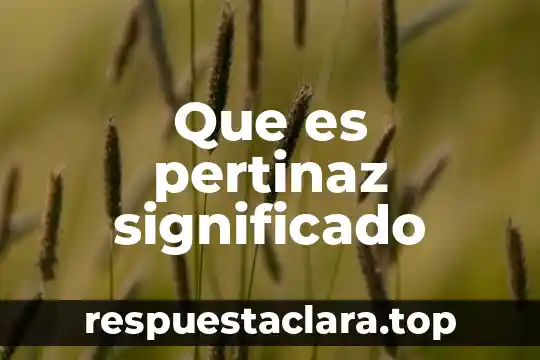 Qué es Sades significado 5 Que es pertinaz significado