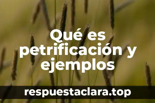 Que es contexto culturar caracteristicas y ejemplos 4 Qué es petrificación y ejemplos
