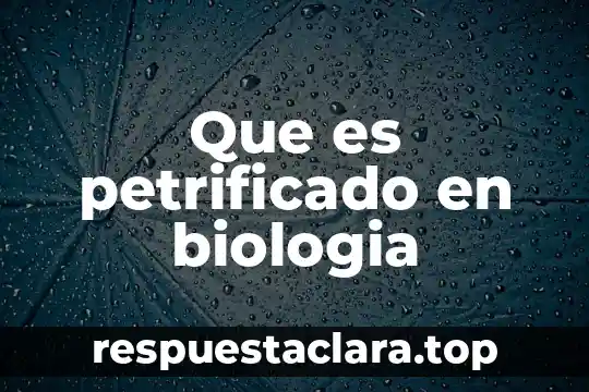Que es petrificado en biologia