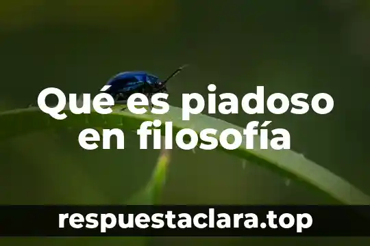 Qué es piadoso en filosofía
