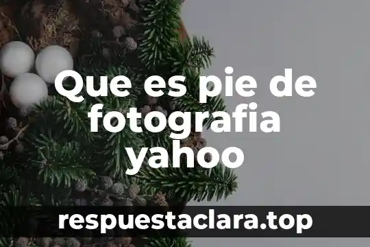 Si se me torció el pie qué es bueno 4 Que es pie de fotografia yahoo