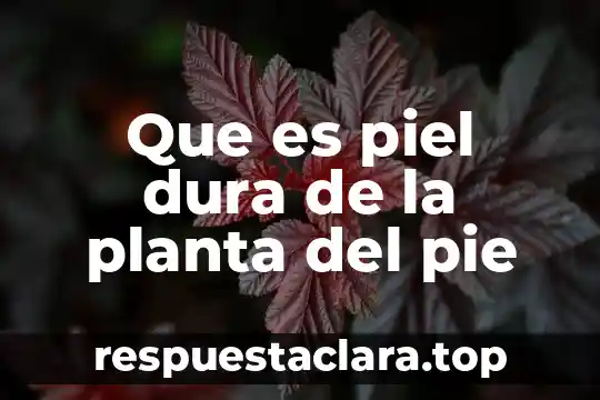 Si se me torció el pie qué es bueno 6 Que es piel dura de la planta del pie