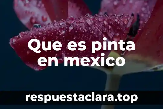 Que es pinta en mexico