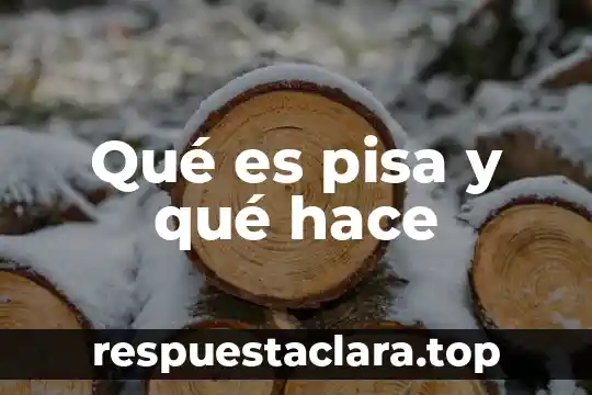Que es lo que hace una operadora automotriz 5 Qué es pisa y qué hace