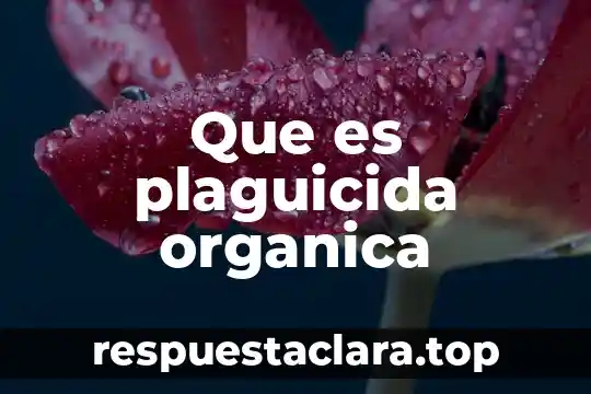 Charola organica que es 4 Que es plaguicida organica