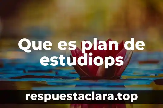 Que es plan de estudiops