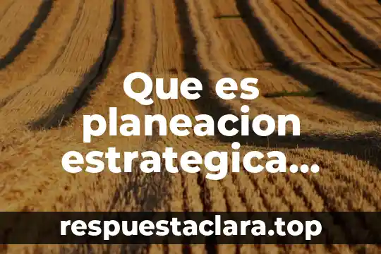 Número de vialidad que es 7 Que es planeacion estrategica autores